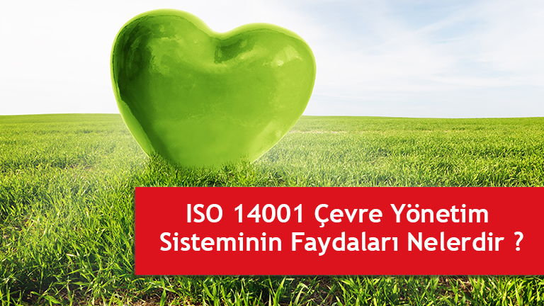 ISO 14001 belgesinin faydalarÄ± QRS Beglelendirme Makaleler